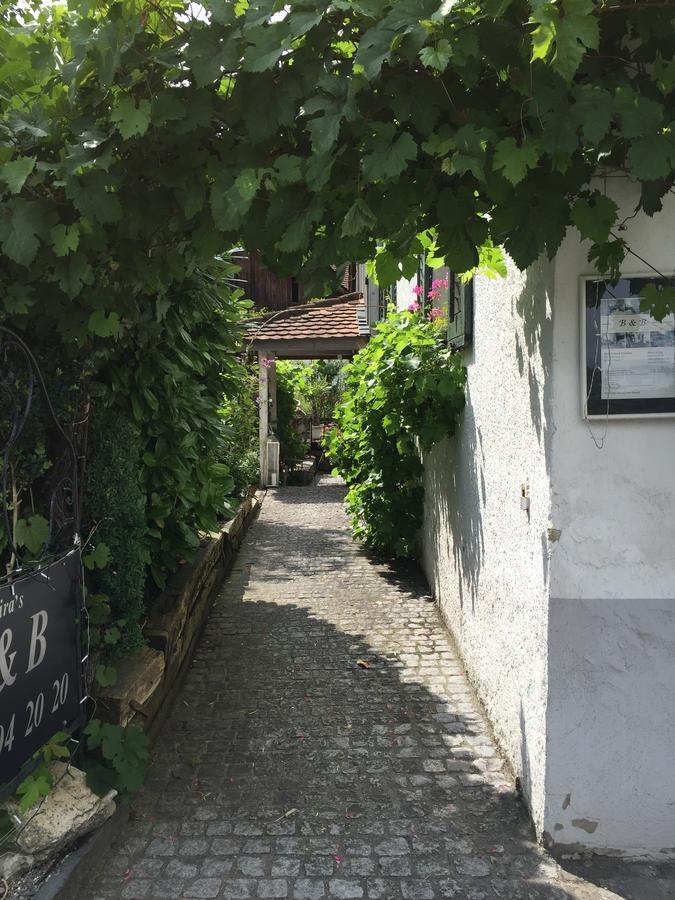 Airport Zuerich Elwiras B & B Lufingen Buitenkant foto